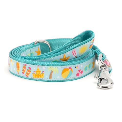 The Worthy Dog Mint Life's A Beach Ribbon Nylon Webbing Matching Lead