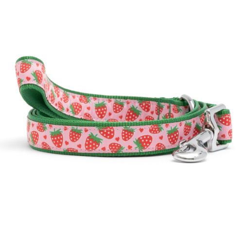 The Worthy Dog Strawberries Ribbon Nylon Webbing Matching Lead