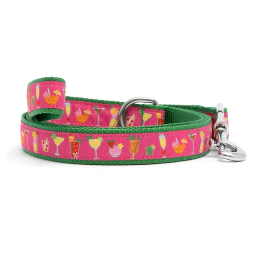 The Worthy Dog Summer Cheer Cocktail Ribbon Nylon Webbing Matching Lead