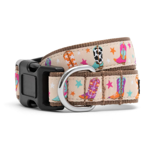 The Worthy Dog Wild Wild West Ribbon Nylon Webbing Dog Collar