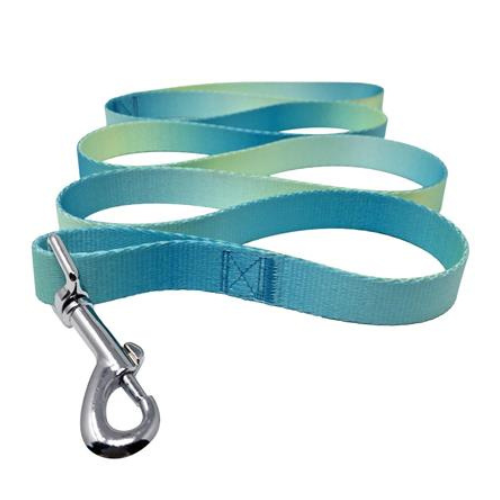 Doggie Design American River Matching Ombre Leash — Aruba Blue