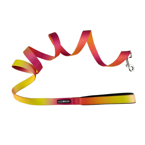 Doggie Design American River Ombre Leash — Raspberry Pink + Orange