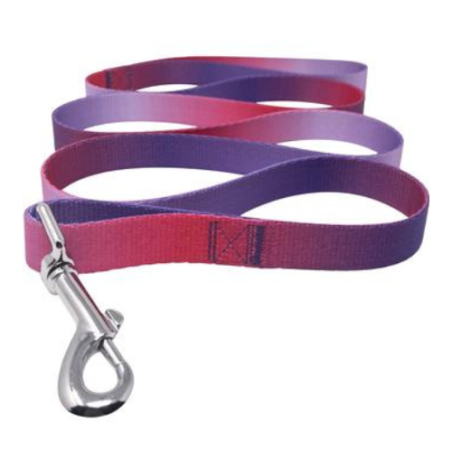 Doggie Design American River Matching Ombre Leash — Raspberry Sundae