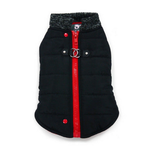 Dogo Pet Fashions Black Runner Winter Dog Coat  Back view