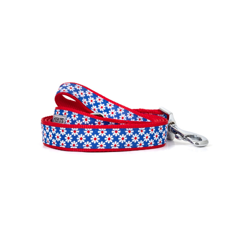 The Worthy Dog Daisies Ribbon Nylon Lead