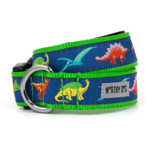 The Worthy Dog Dino Parade of Dinosaurs Ribbon Nylon Webbing Collar