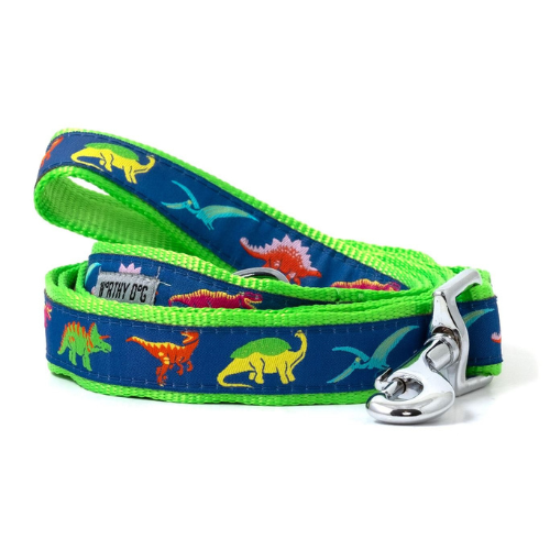 The Worthy Dog Dino Parade of Dinosaurs Ribbon Nylon Webbing Lead