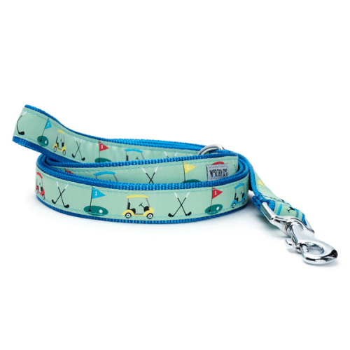 The Worthy Dog Golf Ribbon Nylon Webbing Matching Lead