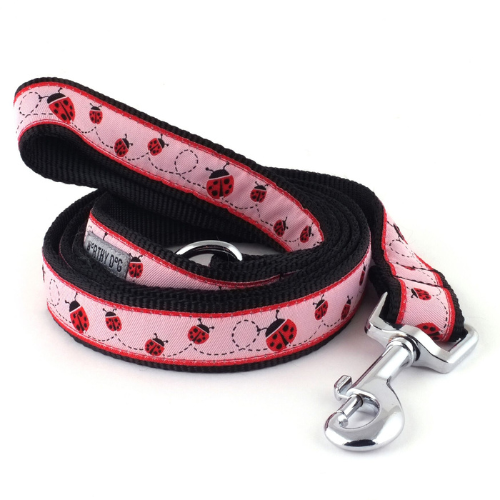 The Worthy Dog Ladybug Ribbon Nylon Webbing Matching Lead