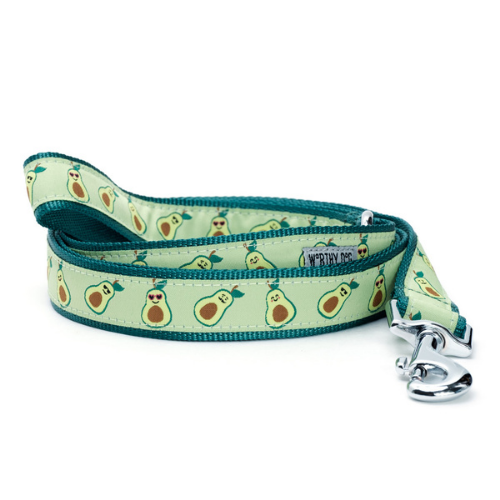 The Worthy Dog Avocados Ribbon Nylon Webbing Matching Lead