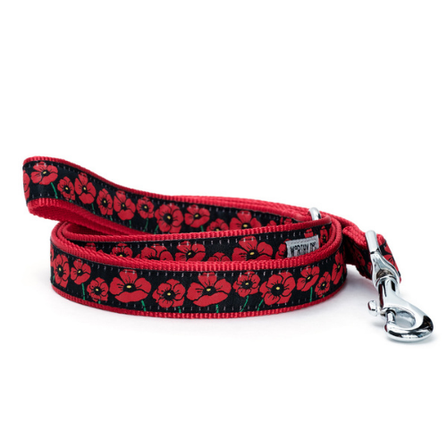 The Worthy Dog Poppies Ribbon Nylon Webbing Matching Lead