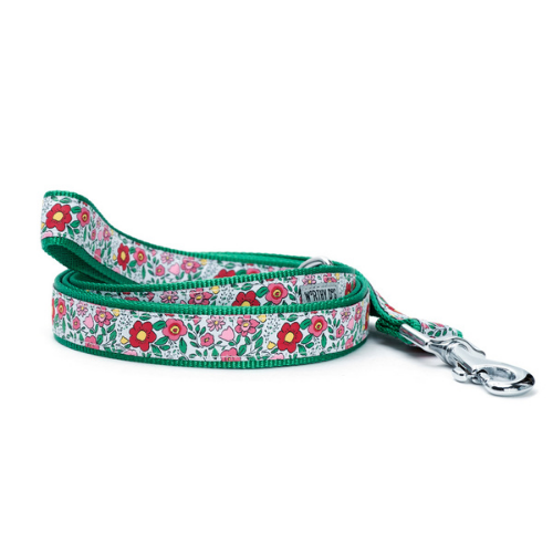 The Worthy Dog Spring Garden Ribbon Nylon Webbing Matching Lead