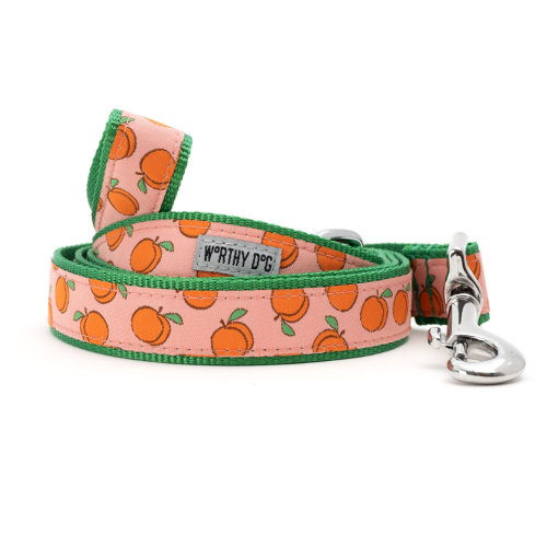 The Worthy Dog Peachy Keen Ribbon Nylon Webbing Matching Lead