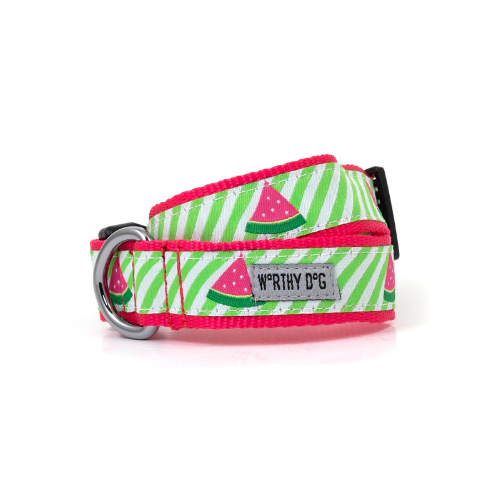 The Worthy Dog Watermelon Ribbon Nylon Webbing Dog Collar