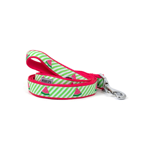 The Worthy Dog Watermelon Ribbon Nylon Lead